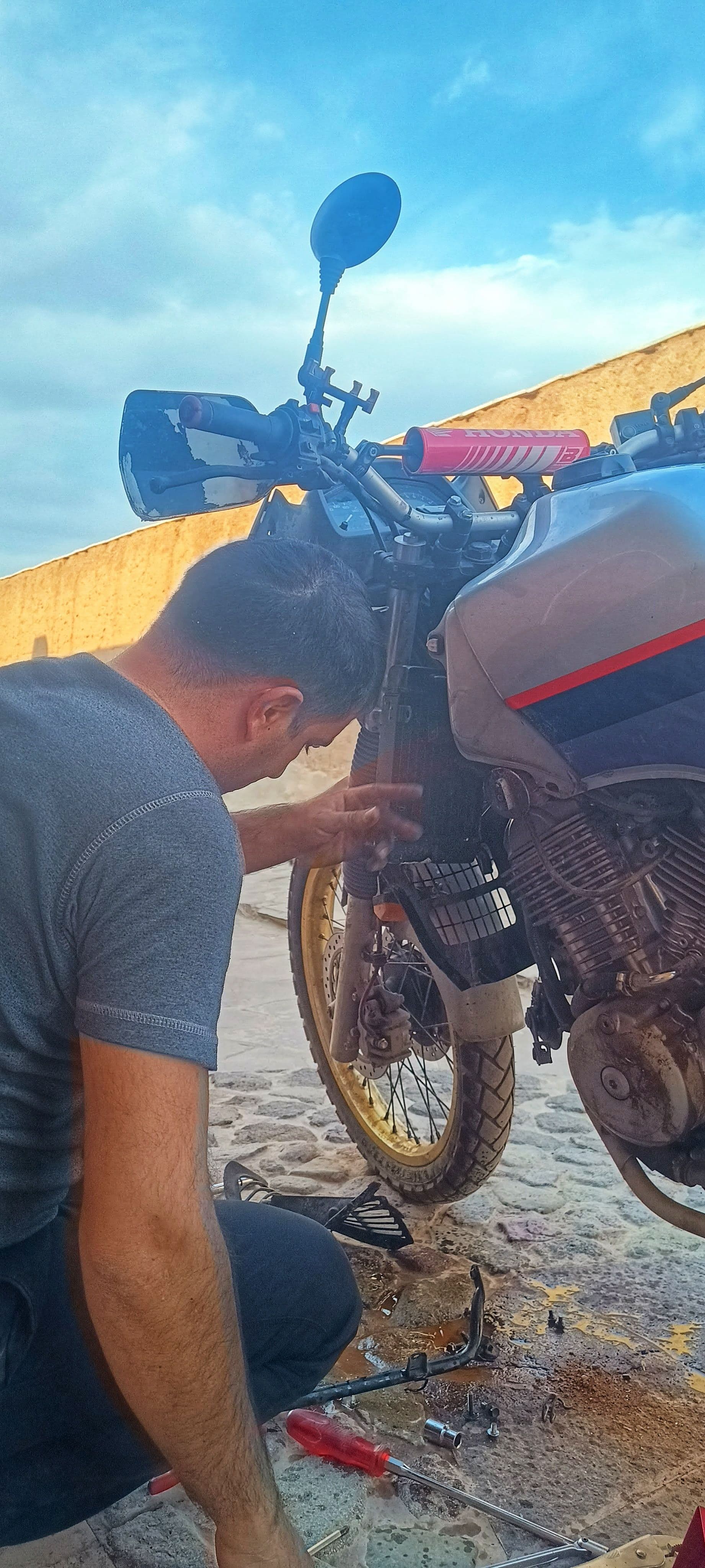 Where Did We Leave Off? Resuming the Interrupted Dream